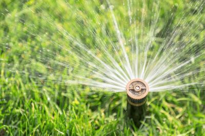 Specialized Sprinkler Service Firms